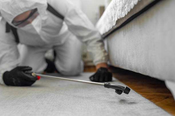 Professional Cockroach Control technician working in Sanger, CA