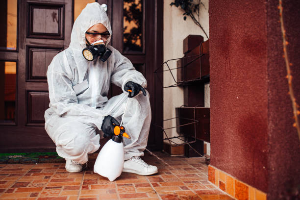 Reliable Cockroach Control contractor in Sanger, CA by Nex Pest Control